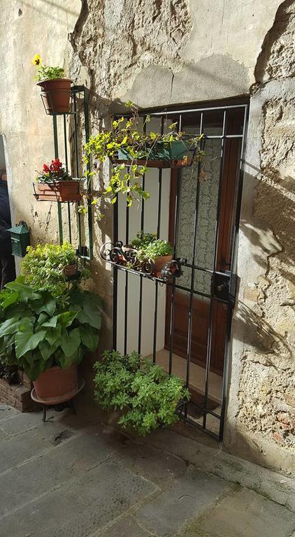 Armaiolo Relax Apartment Rapolano Terme Bagian luar foto